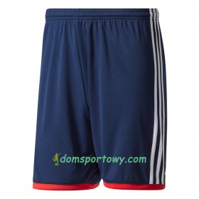 Bayern Monachium Spodenki Wyjazdowe 2017-2018