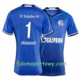 Koszulka FC Schalke 04 FAHRMANN 1 Domowe Koszulki Piłkarskie 2017-2018 Krótki Rękaw