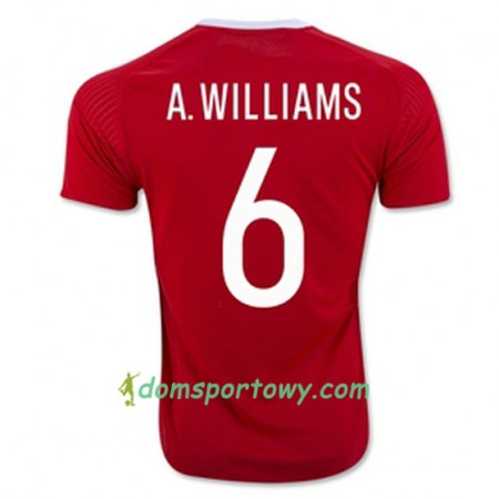 Koszulka Walia A WILLIAMS Domowe Koszulki Piłkarskie Euro 2016