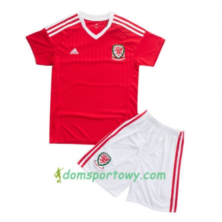 Koszulka Walia Dziecięcy Domowe Koszulki Piłkarskie Euro 2016